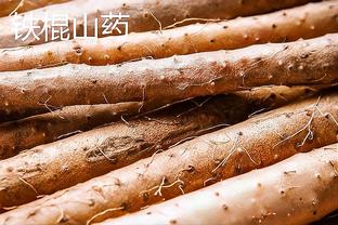 跟队：皮奥利帅位不稳但想找新帅仍有难度，米兰会听取伊布的意见